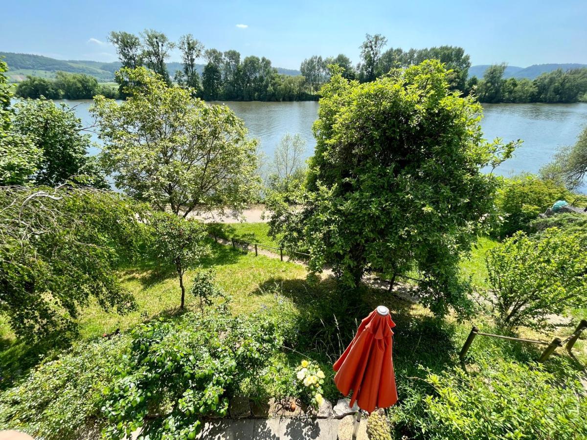 Apartamento Moselglück Schweich Exterior foto